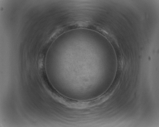 X0000082960032200702011318