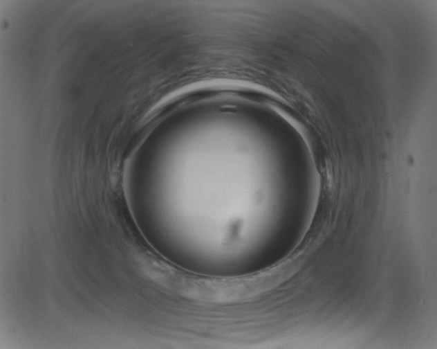 X0000082960033200702011318