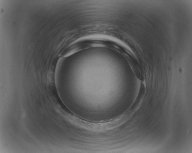 X0000082960035200702011318
