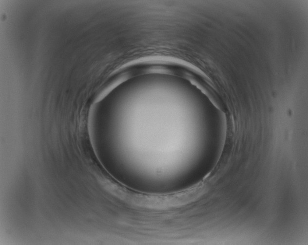 X0000082960037200702011318