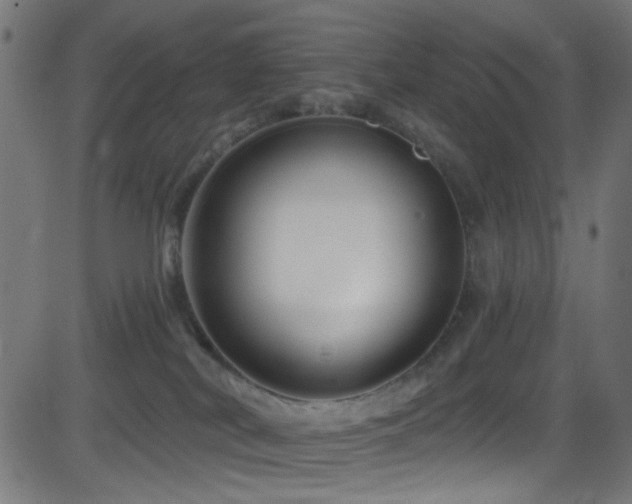 X0000082960038200702011318