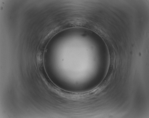 X0000082960040200702011318