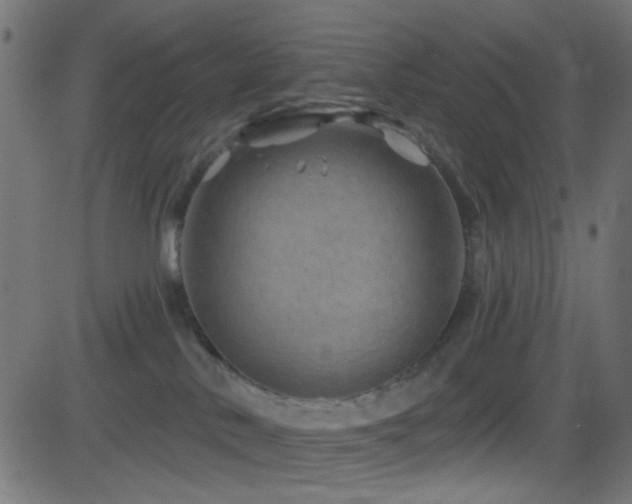 X0000082960042200702011318