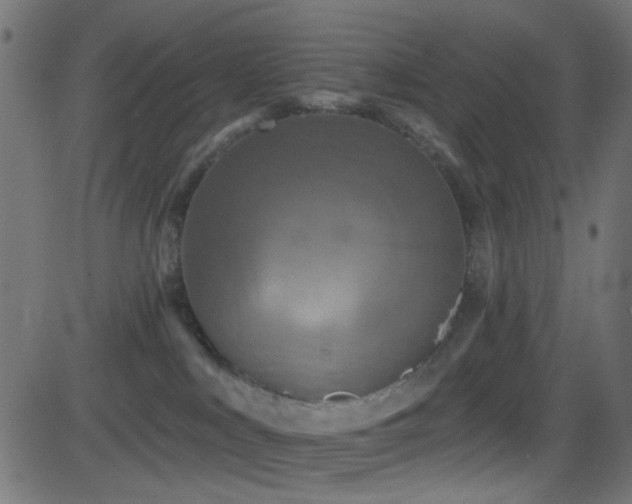 X0000082960043200702011318