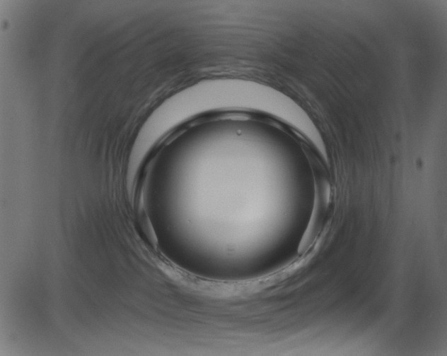 X0000082960045200702011318