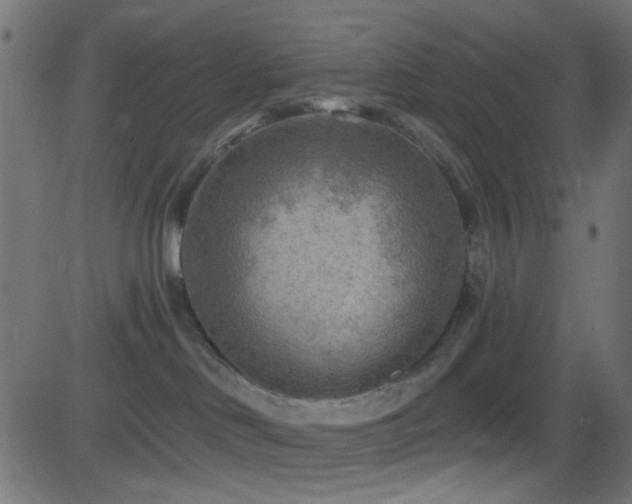 X0000082960046200702011318
