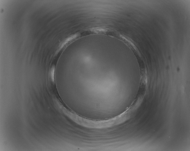 X0000082960047200702011318