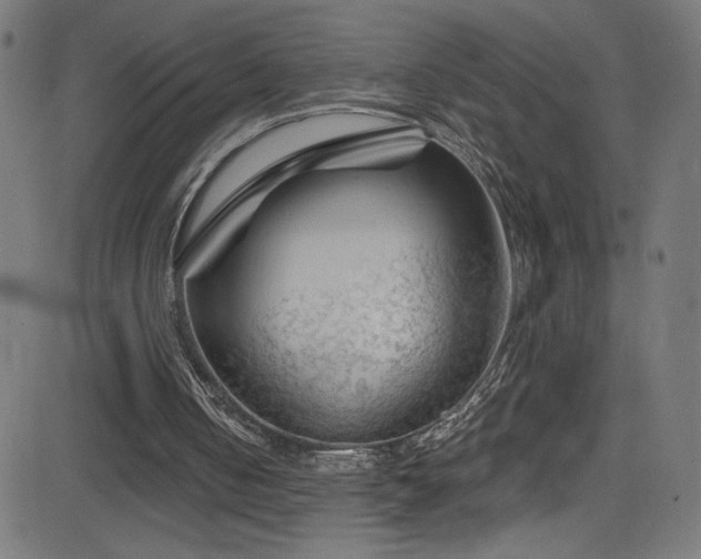 X0000082960050200702011317
