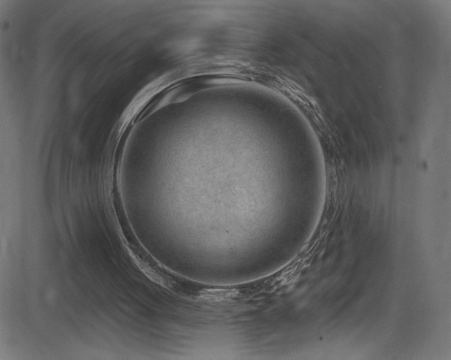 X0000082960051200702011317