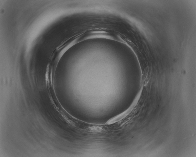 X0000082960052200702011317