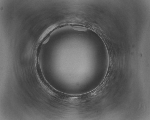 X0000082960054200702011317
