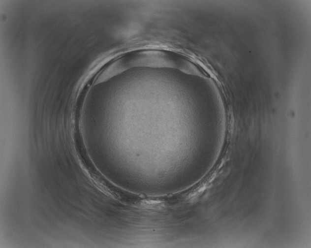X0000082960055200702011317