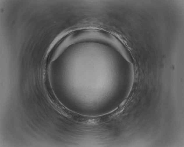 X0000082960056200702011317