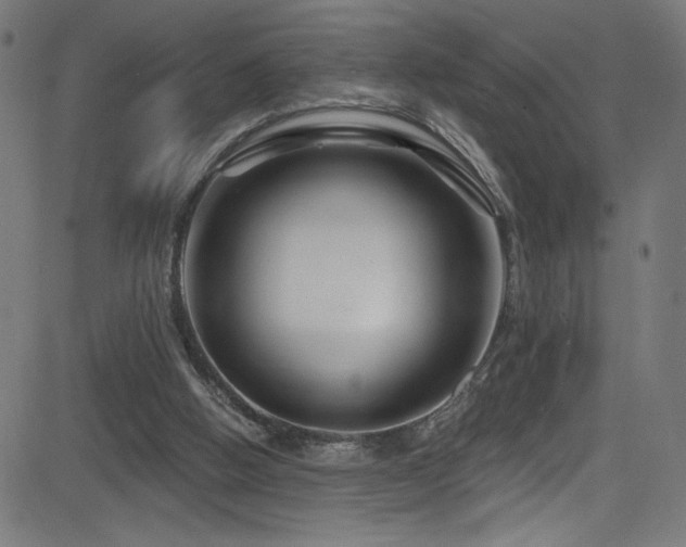 X0000082960058200702011317