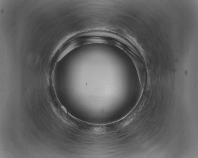 X0000082960060200702011317