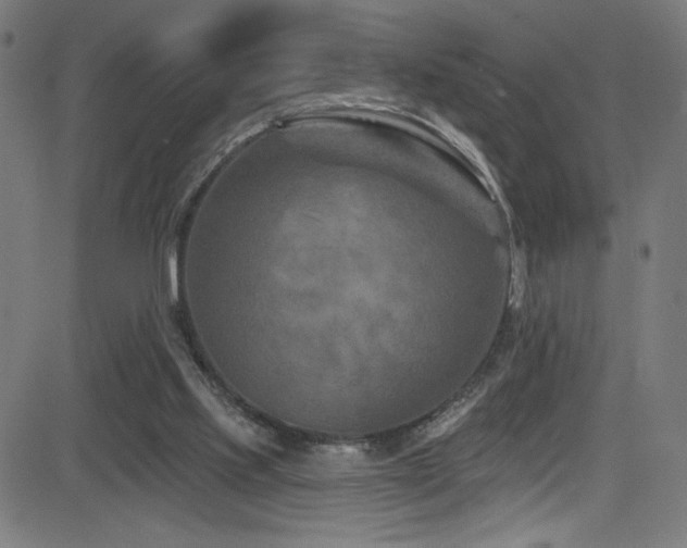 X0000082960061200702011317