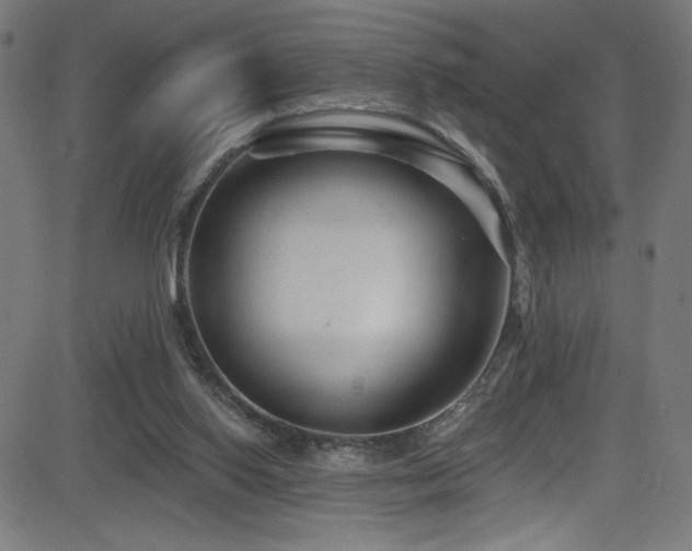 X0000082960062200702011318