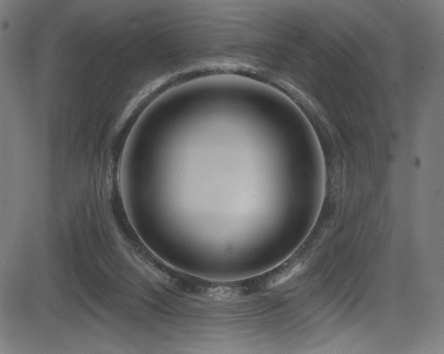 X0000082960064200702011318