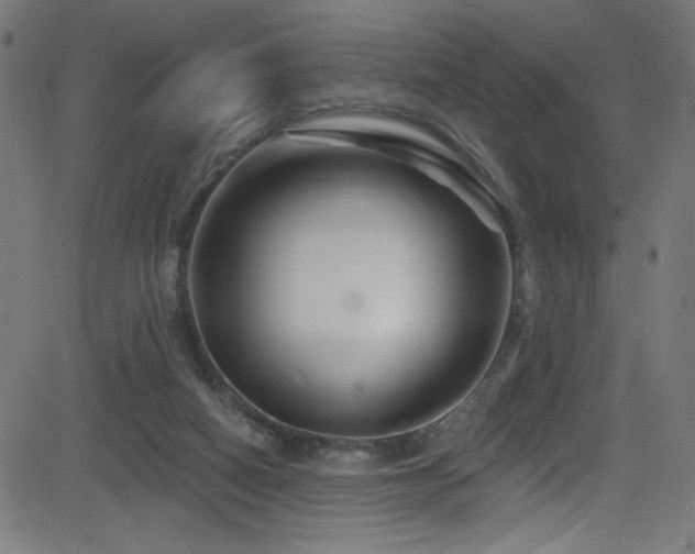 X0000082960066200702011318