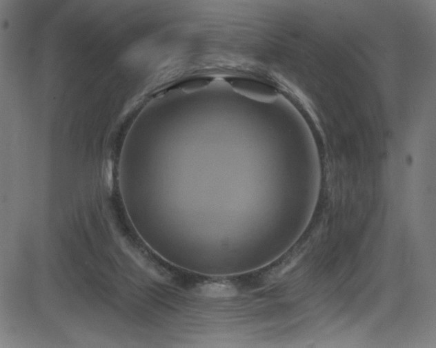 X0000082960067200702011318