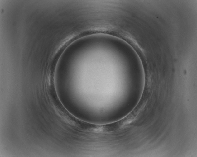 X0000082960068200702011318