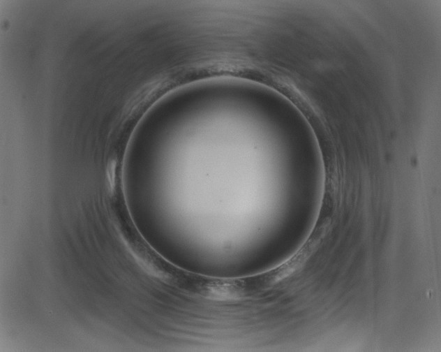 X0000082960070200702011318