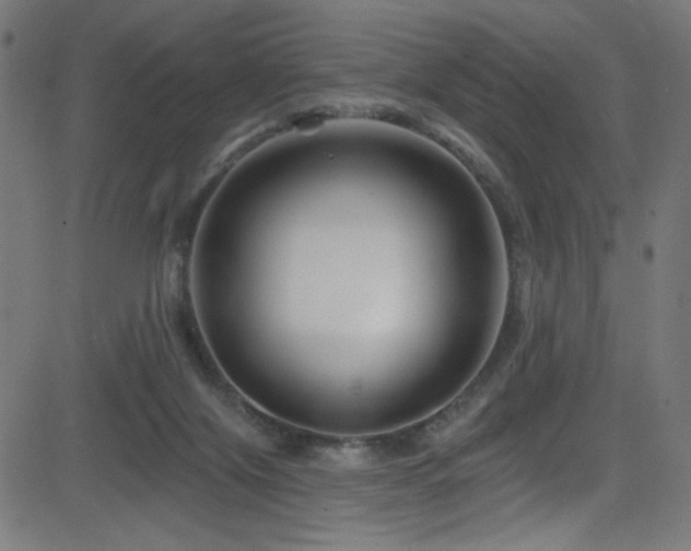 X0000082960071200702011318