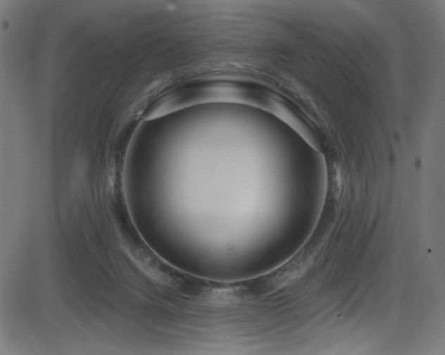 X0000082960072200702011318