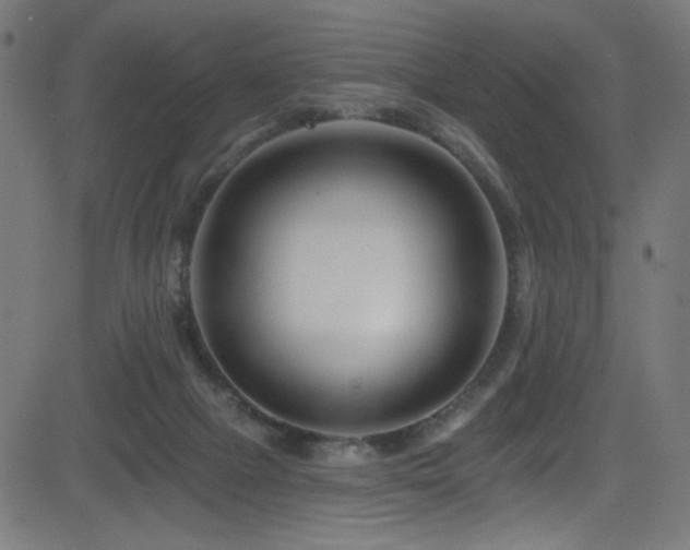 X0000082960073200702011318