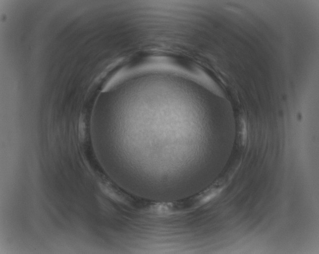 X0000082960080200702011318