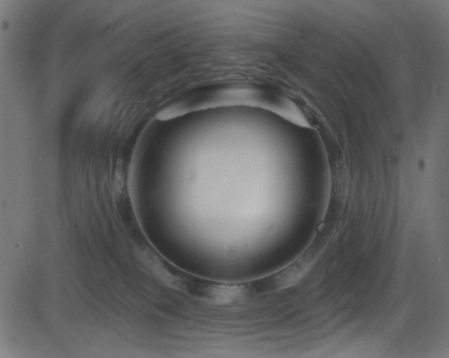 X0000082960085200702011318