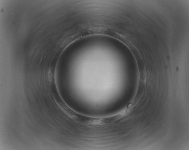 X0000082960086200702011318