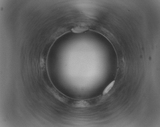 X0000082960087200702011318