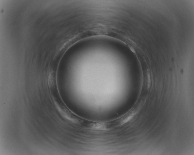 X0000082960088200702011318