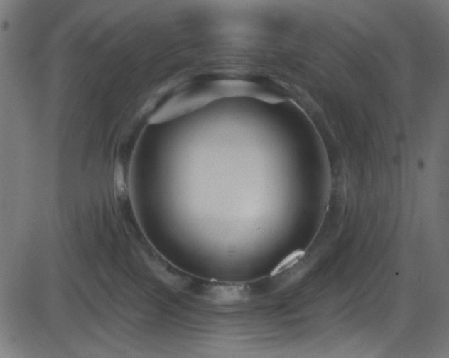 X0000082960089200702011318