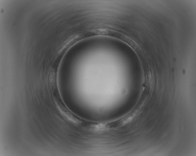 X0000082960092200702011318