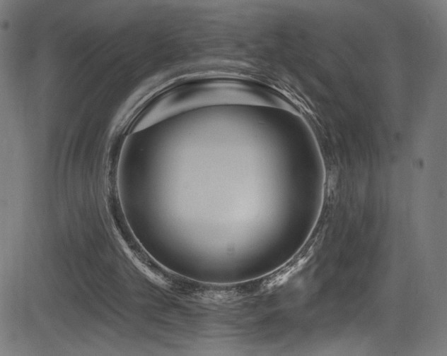 X0000082960101200702011317