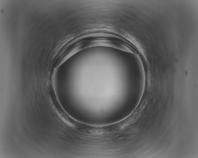 X0000082960105200702011317