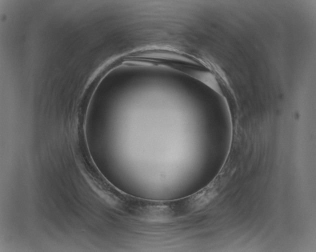 X0000082960108200702011317