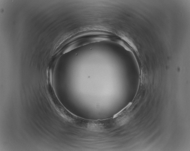 X0000082960109200702011317