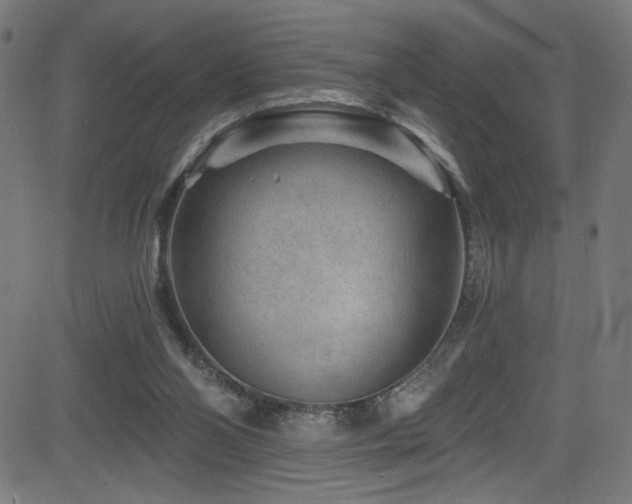 X0000082960110200702011317