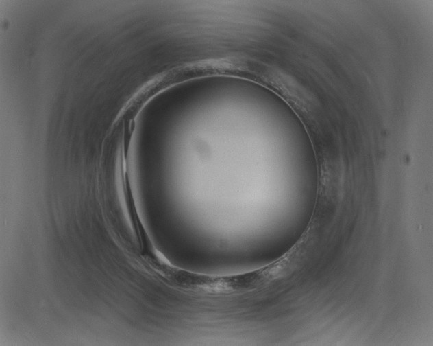 X0000082960112200702011317