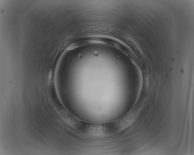 X0000082960123200702011317