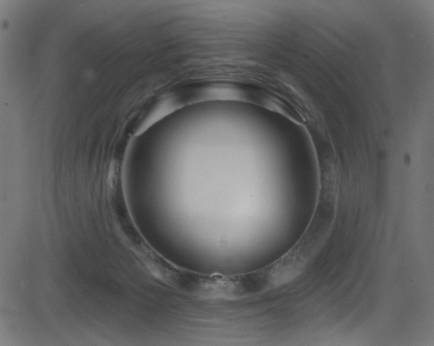 X0000082960125200702011317