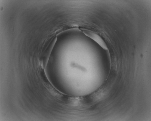 X0000082960131200702011317