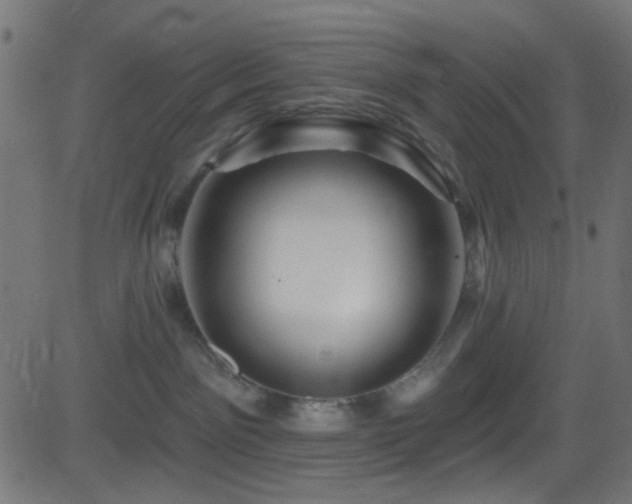 X0000082960141200702011317