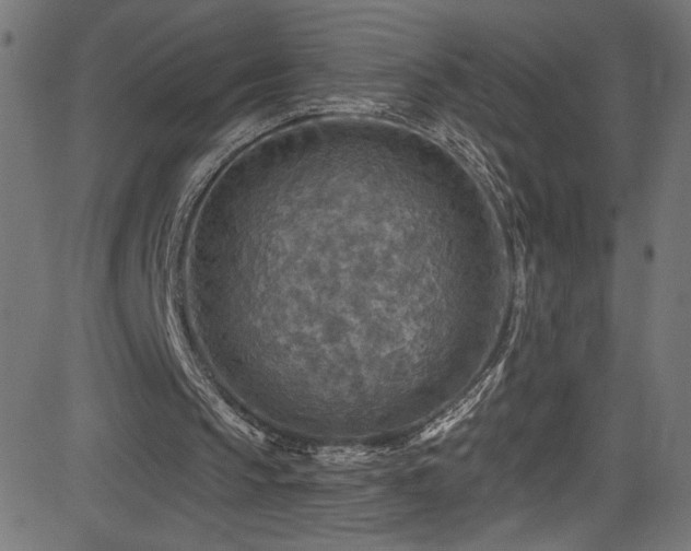 X0000082960145200702011316