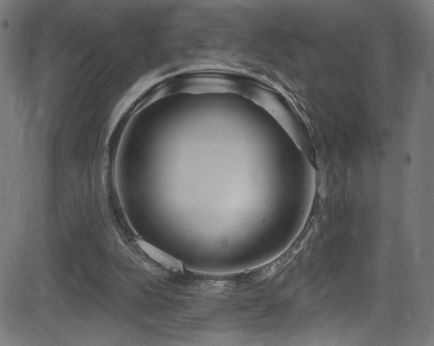X0000082960152200702011316
