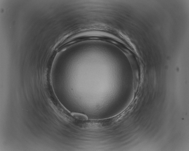 X0000082960154200702011316