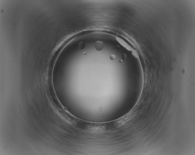 X0000082960155200702011316